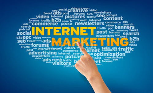 網(wǎng)絡(luò)營(yíng)銷技巧與品牌推廣之道 策略、技術(shù)與實(shí)踐